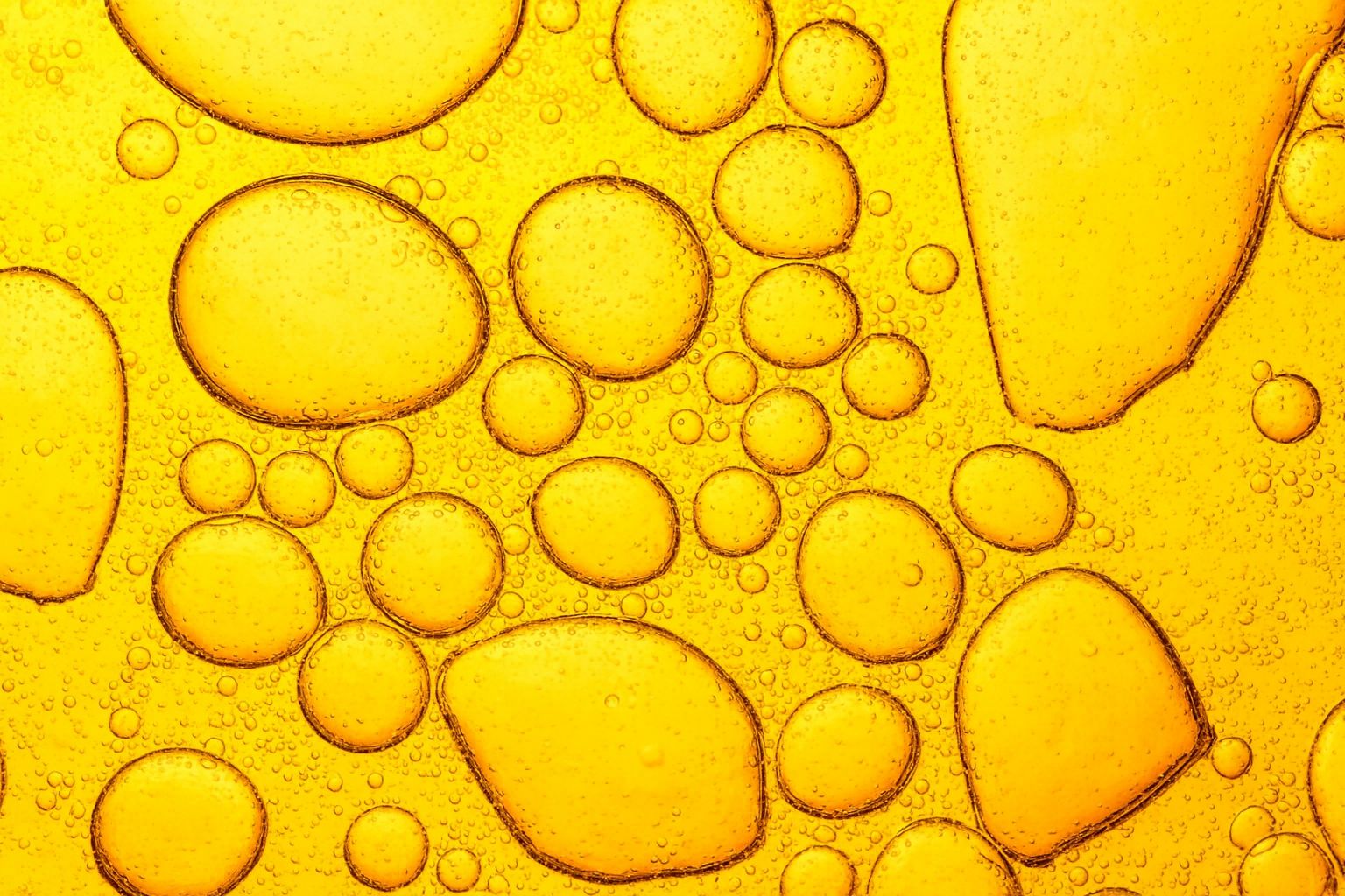 Drug Carriers & Biologic Stabilizers 2